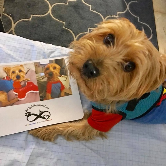 Meet your Posher - Picture 2 of 12